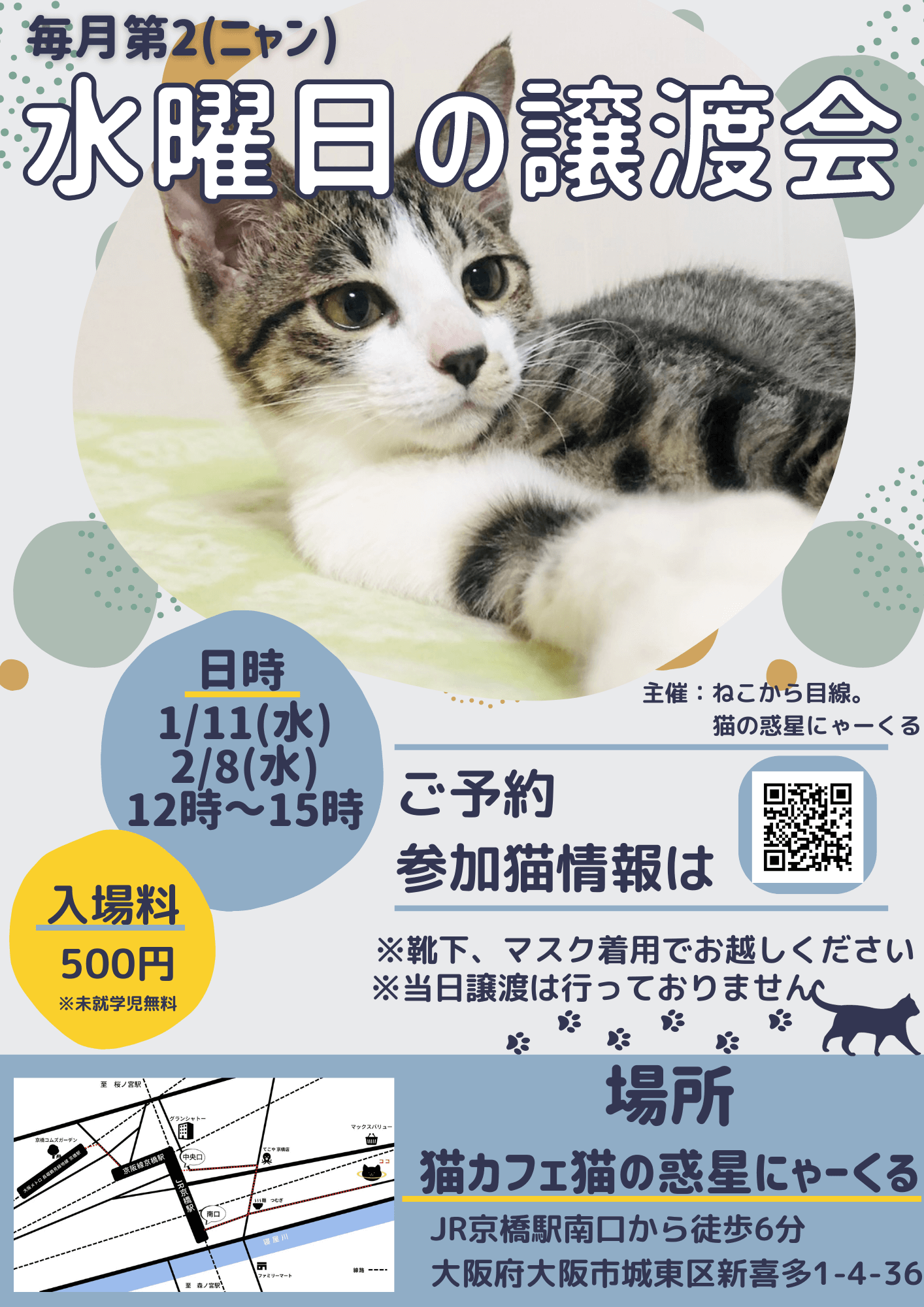 水曜日の譲渡会