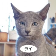 生後3ヶ月くらいの男の子