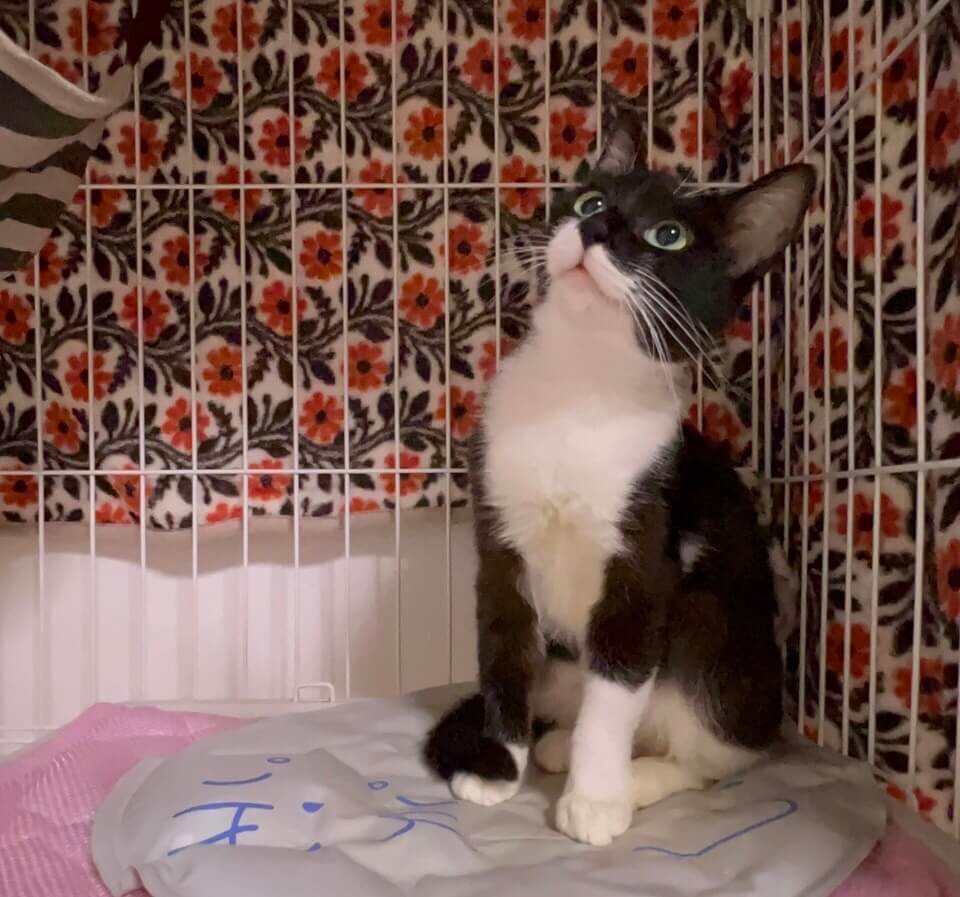 ルックスも性格も可愛い黒白女子の雫！