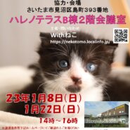 【さいたま市】１/８（日）ハレノテラス保護猫譲渡会