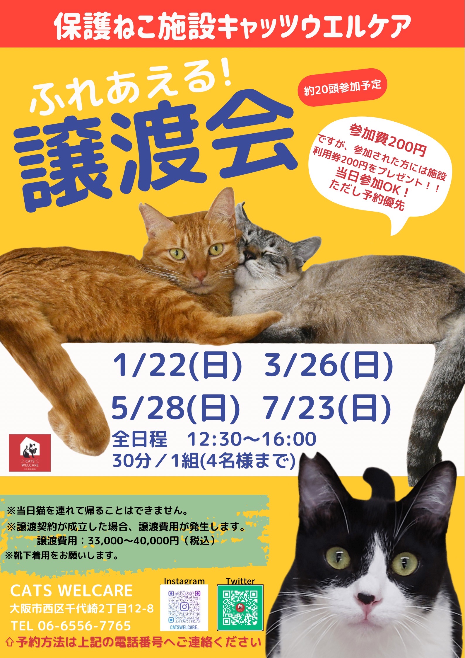 保護ねこ施設 キャッツウェルケア ふれあえる譲渡会
