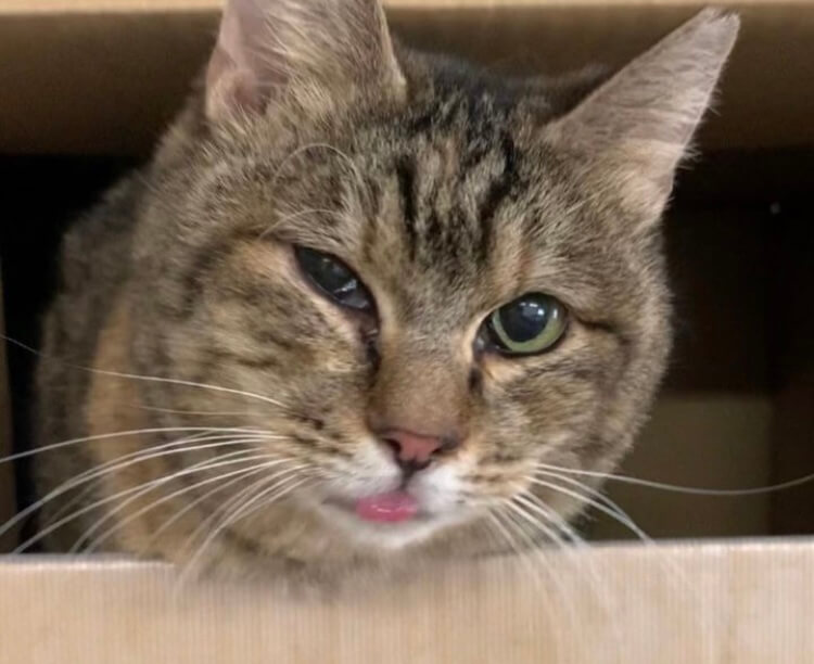 甘えん坊な子です