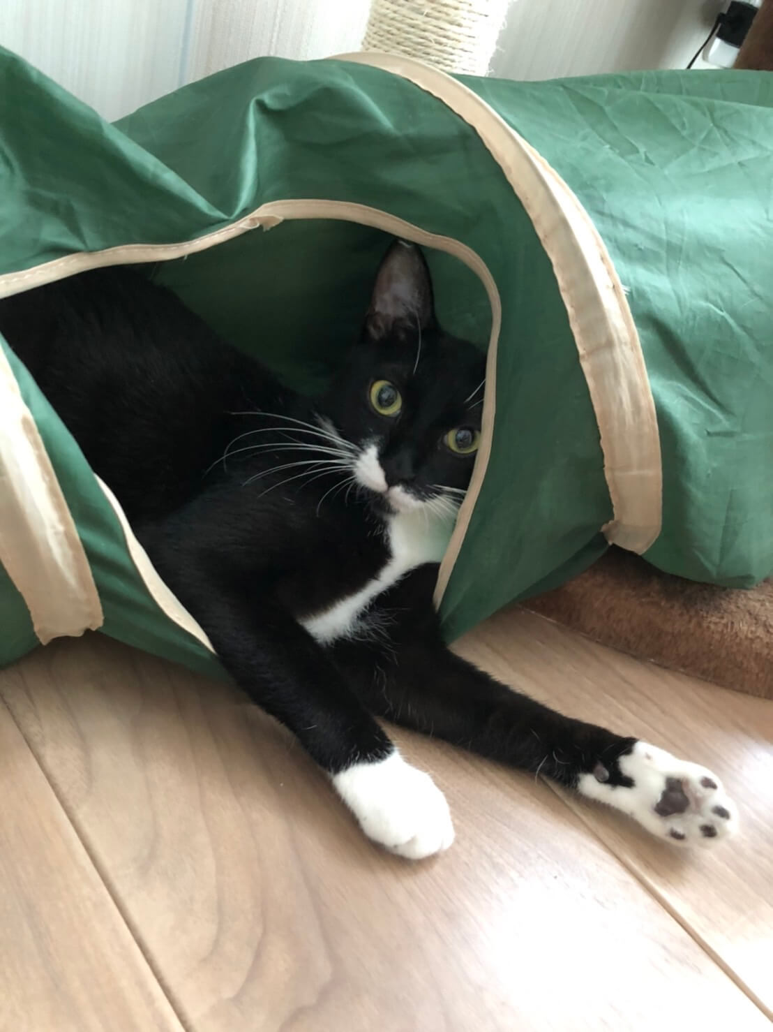 ユニークちびスマイル!!