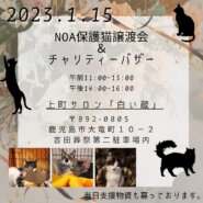 鹿児島保護猫譲渡会＆チャリティーバザー