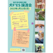 犬Fés 保護犬猫の譲渡会