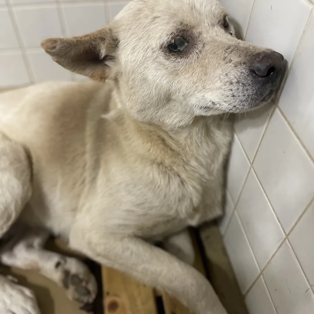 家族にお願いします