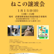 むさしの地域猫の会　譲渡会