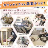 【募集再開】預かりボランティア募集中！！