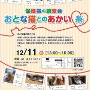 保護猫の譲渡会”おとな猫とのあかい糸“