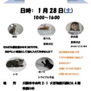 保護猫譲渡会