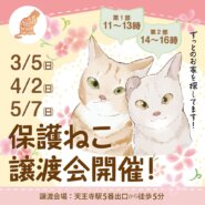 保護ねこの家譲渡会 in 天王寺