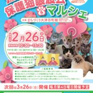 百町保護猫譲渡会&マルシェ