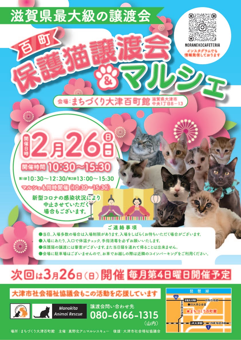 百町保護猫譲渡会&マルシェ