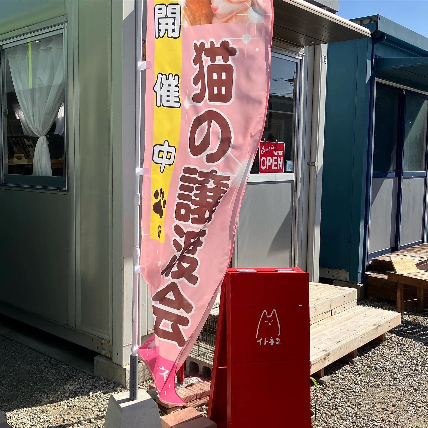 ハンデのある猫たちの面談会（イトネコ）