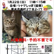 ツムグ小さな譲渡会