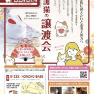 保護猫の譲渡会