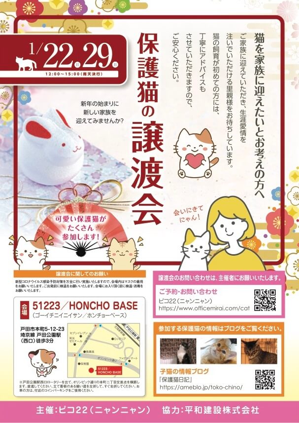 保護猫の譲渡会