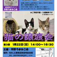 第３回平野ろまねこ譲渡会