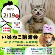 譲渡会 at アイフルホーム水戸店