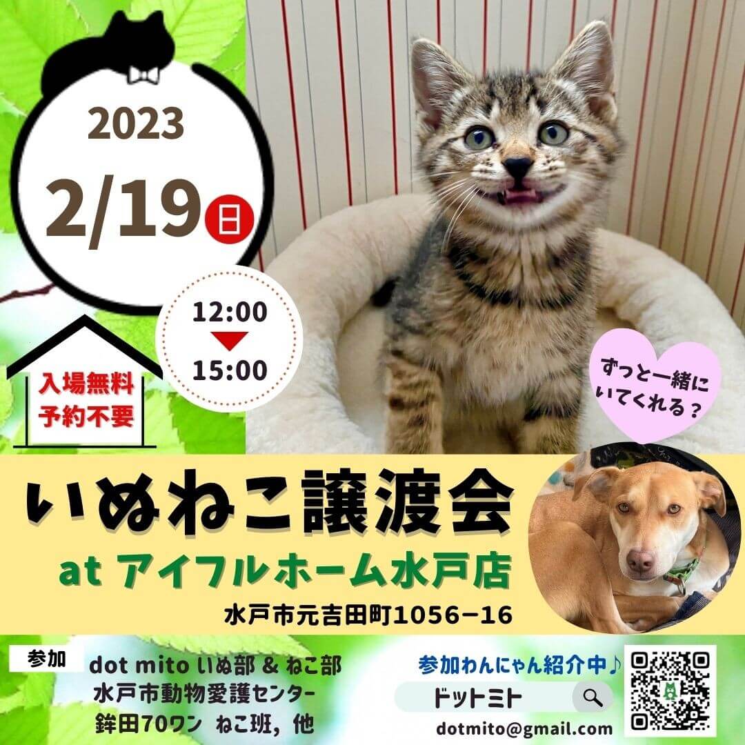 譲渡会 at アイフルホーム水戸店