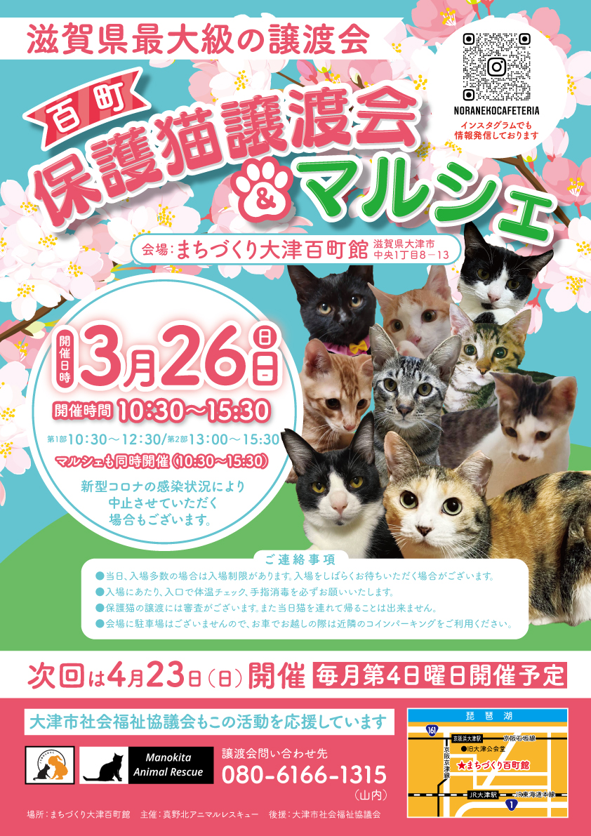 百町保護猫譲渡会&マルシェ