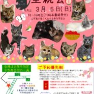 子猫いっぱい里親会！