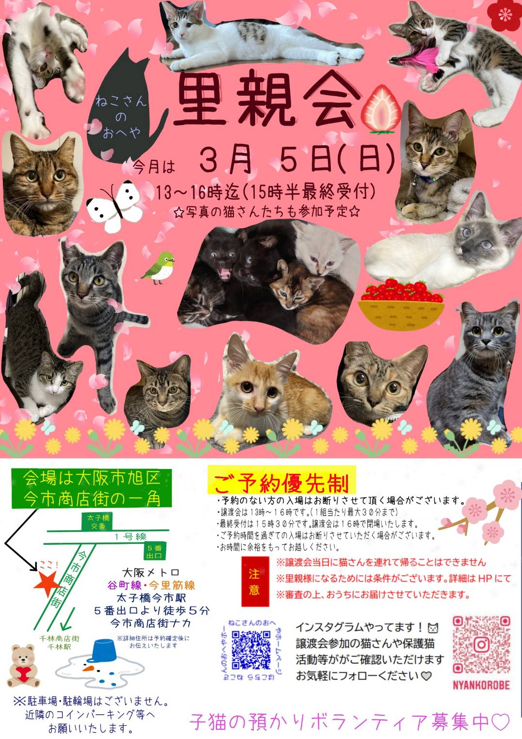 子猫いっぱい里親会！