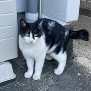 5月で2歳の男の子