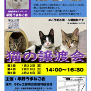 第４回平野ろまねこ譲渡会