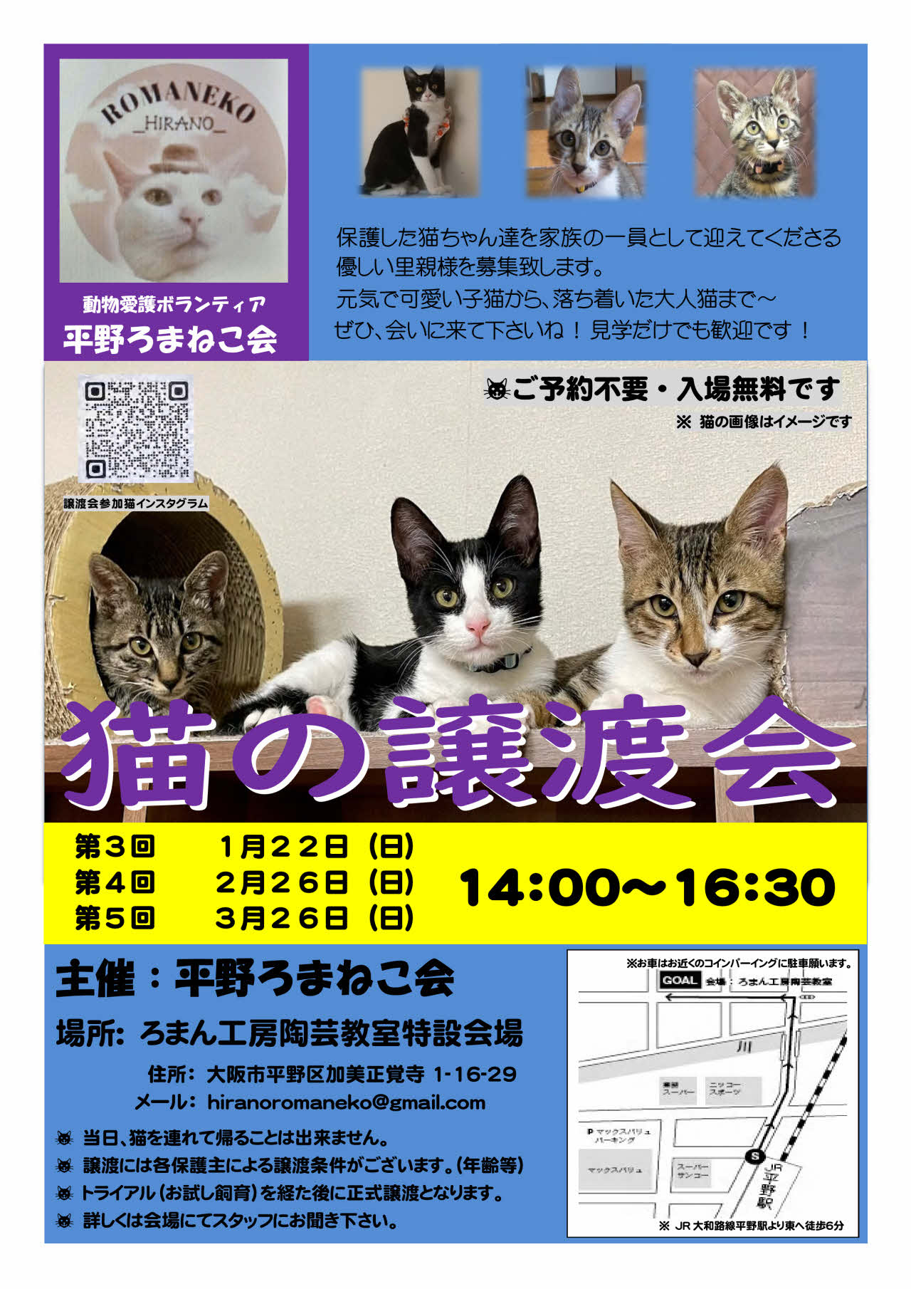 第４回平野ろまねこ譲渡会