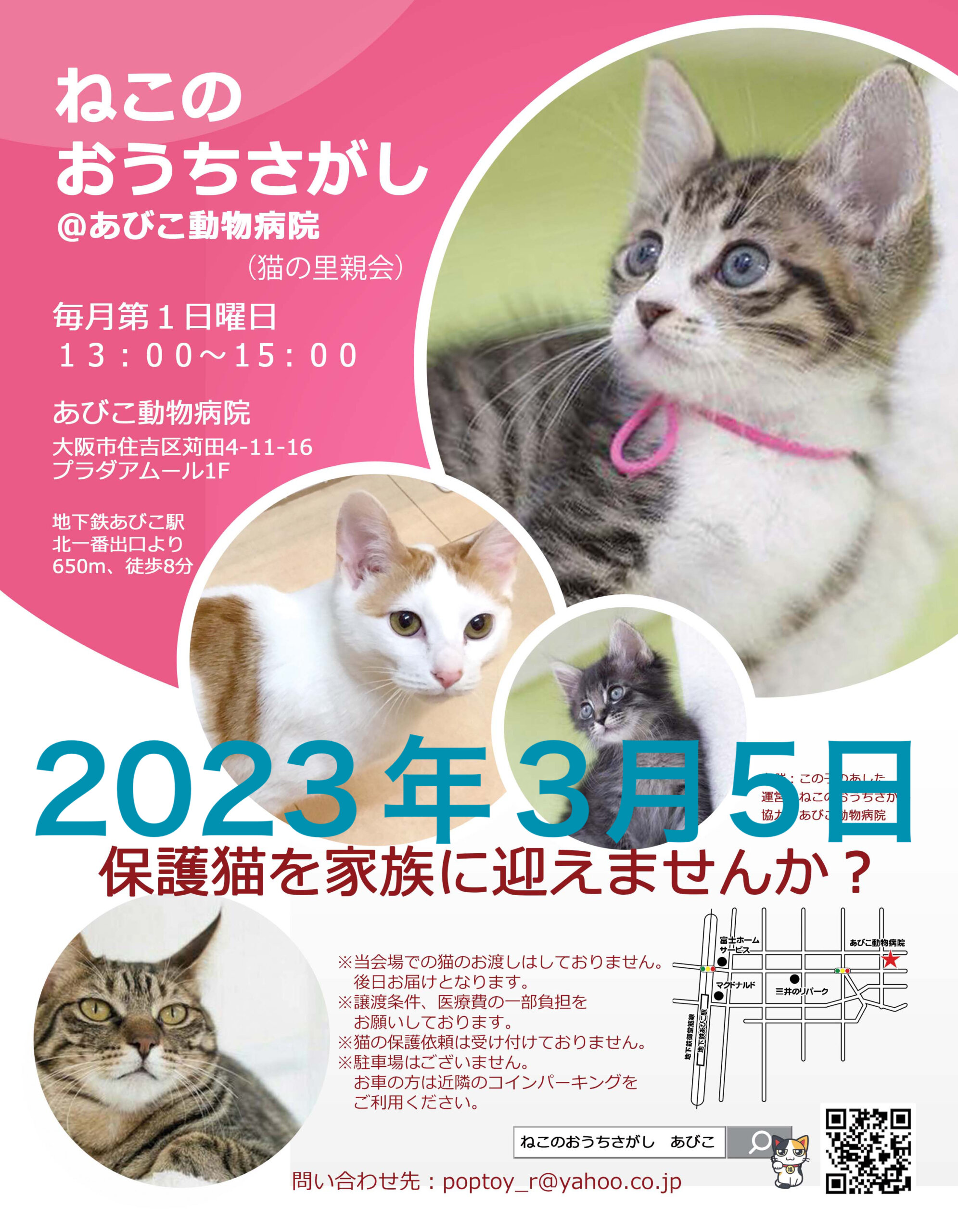 第42回⭐︎ねこのおうちさがし@あびこ動物病院