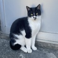 5月で2歳の男の子