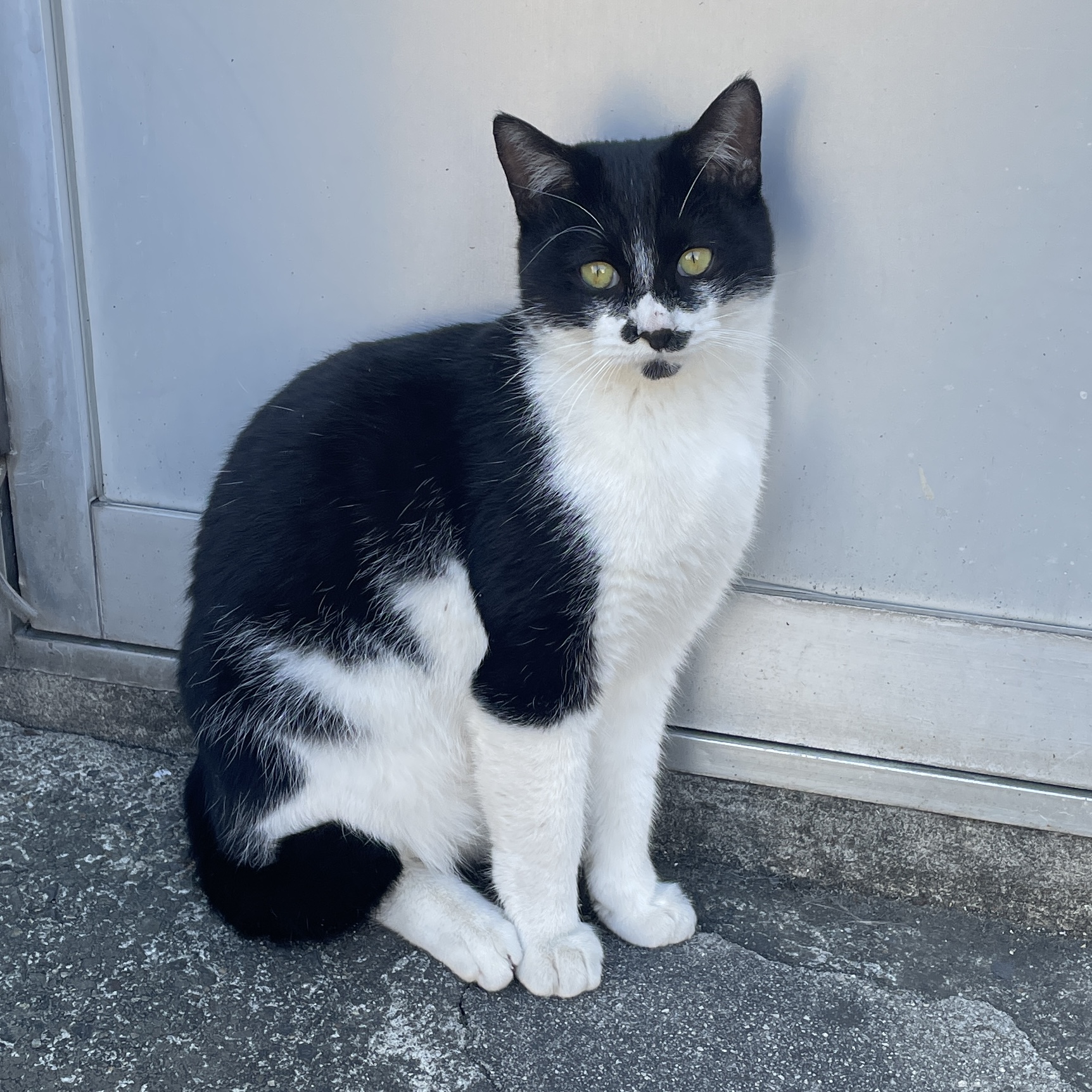 5月で2歳の男の子