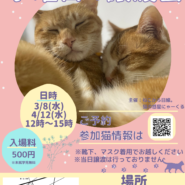 水曜日の譲渡会