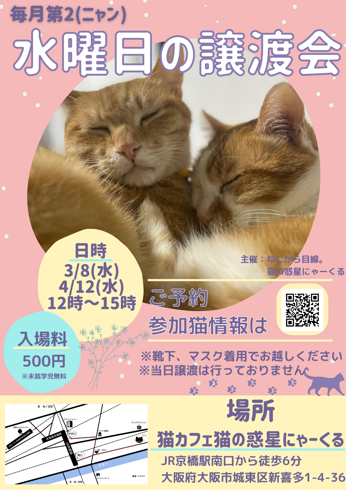 水曜日の譲渡会