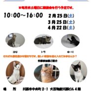 保護猫譲渡会