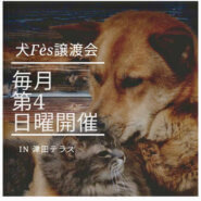 犬Fes譲渡会 保護犬と猫の譲渡会　
