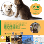 トニャリエ譲渡会