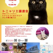 トニャリエ譲渡会