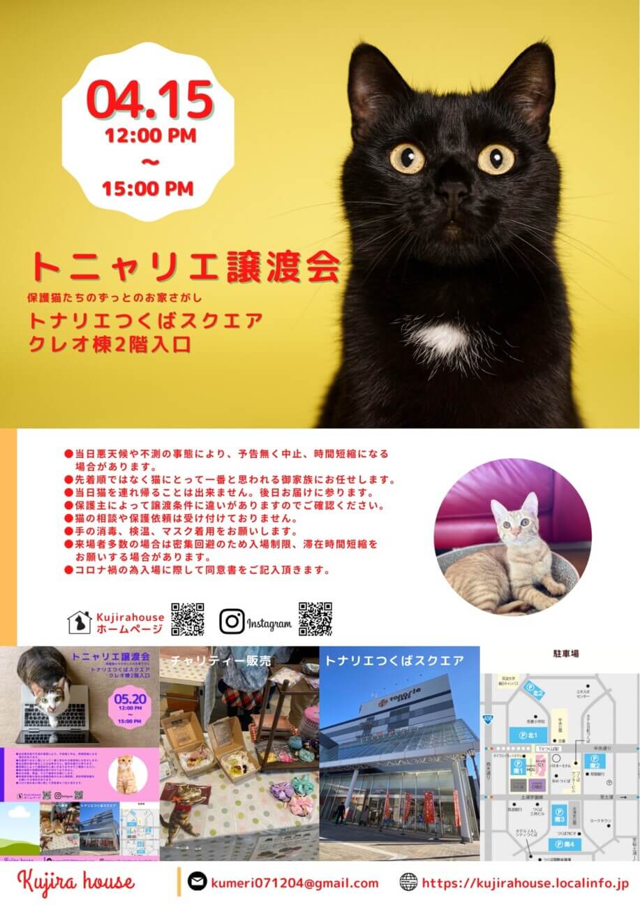 トニャリエ譲渡会