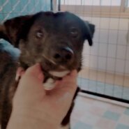 ビビりですがお世話すると早く慣れます