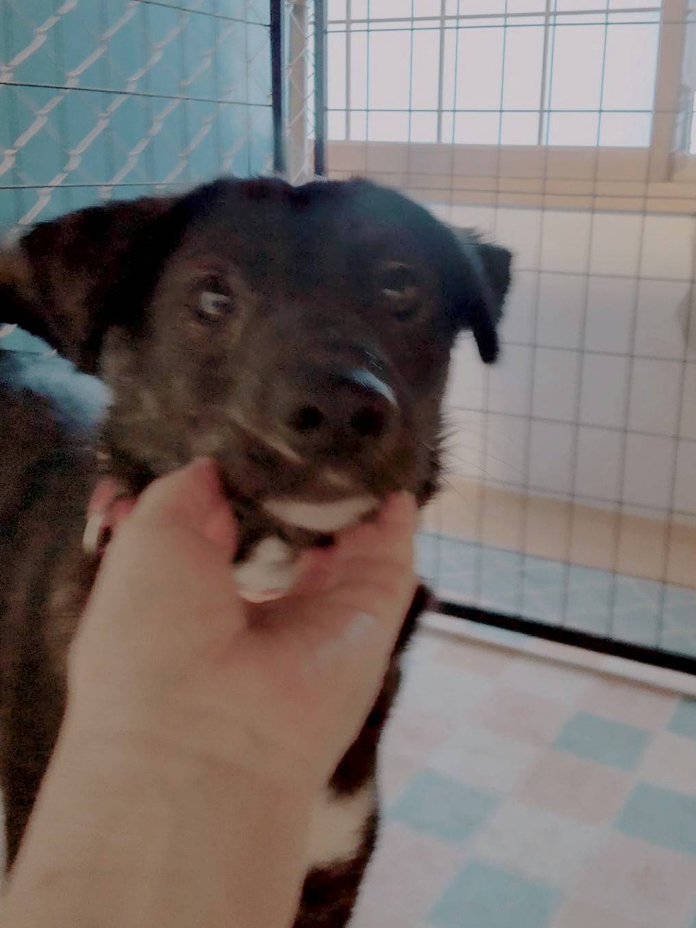 ビビりですがお世話すると早く慣れます