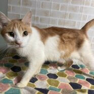 おおらかな癒し系男子♡いちまる