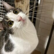 天真爛漫な男の子♪ヤン坊