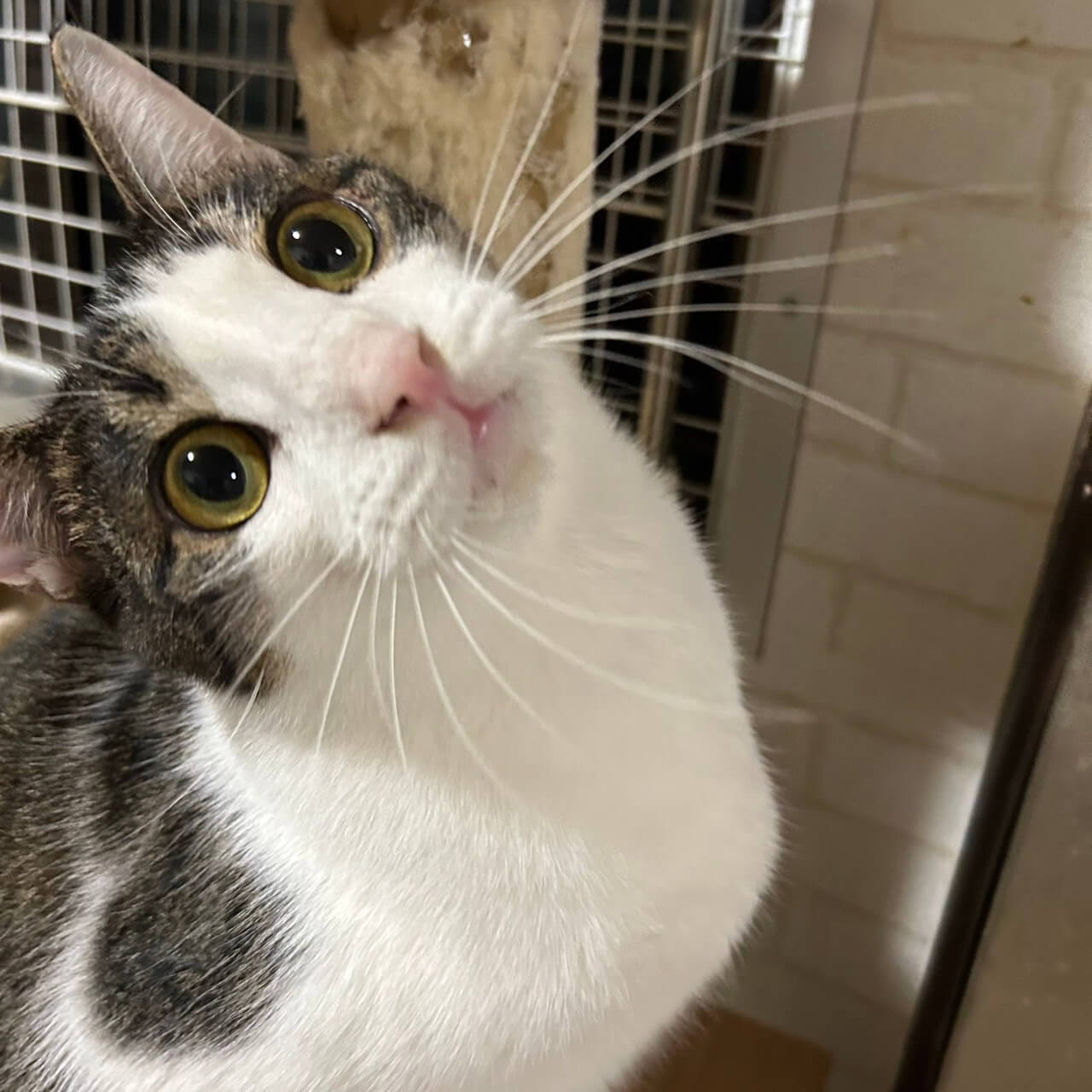 天真爛漫な男の子♪ヤン坊