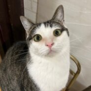 無邪気で可愛い♪マー坊