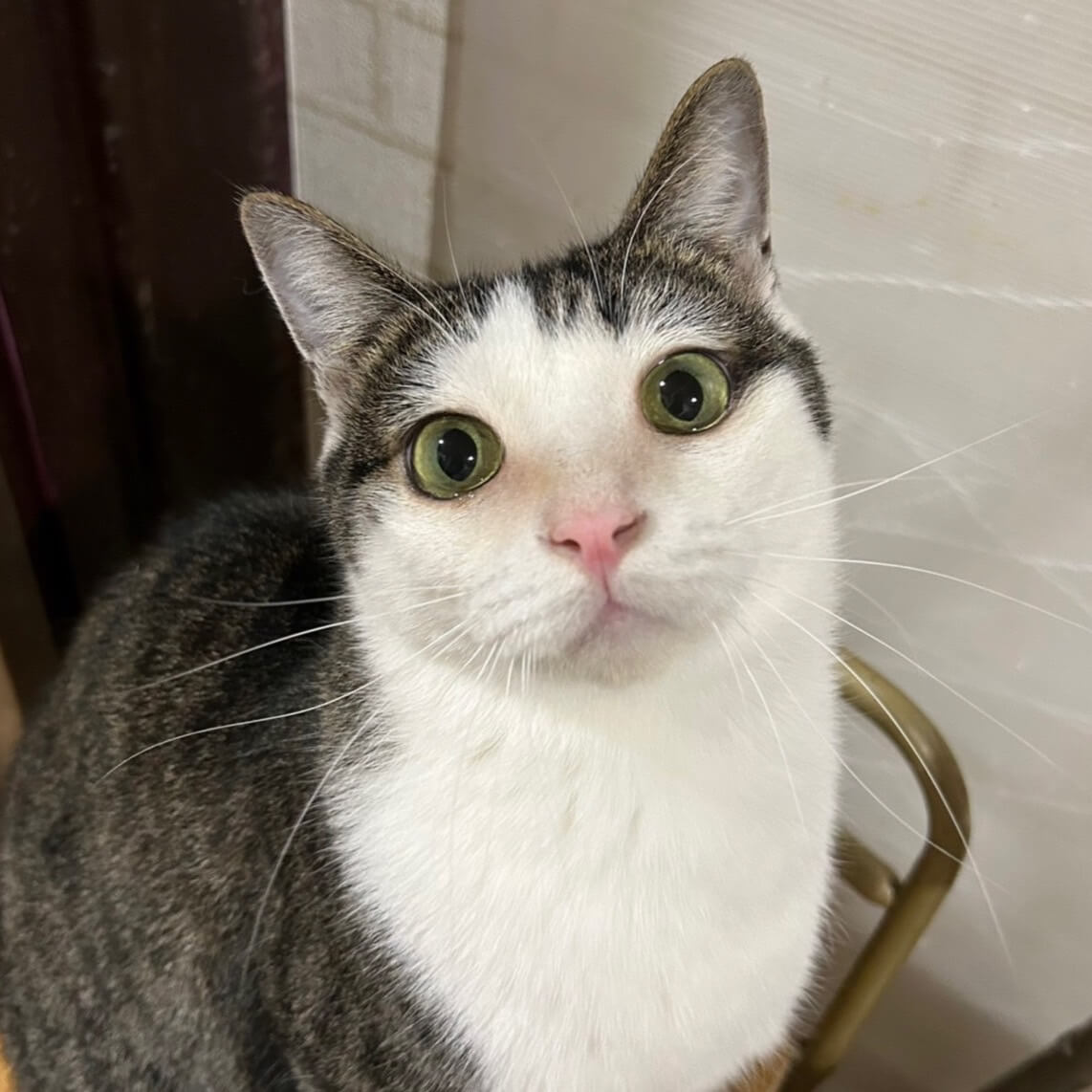 無邪気で可愛い♪マー坊