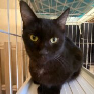 穏やかで人馴れ抜群♡ランちゃん