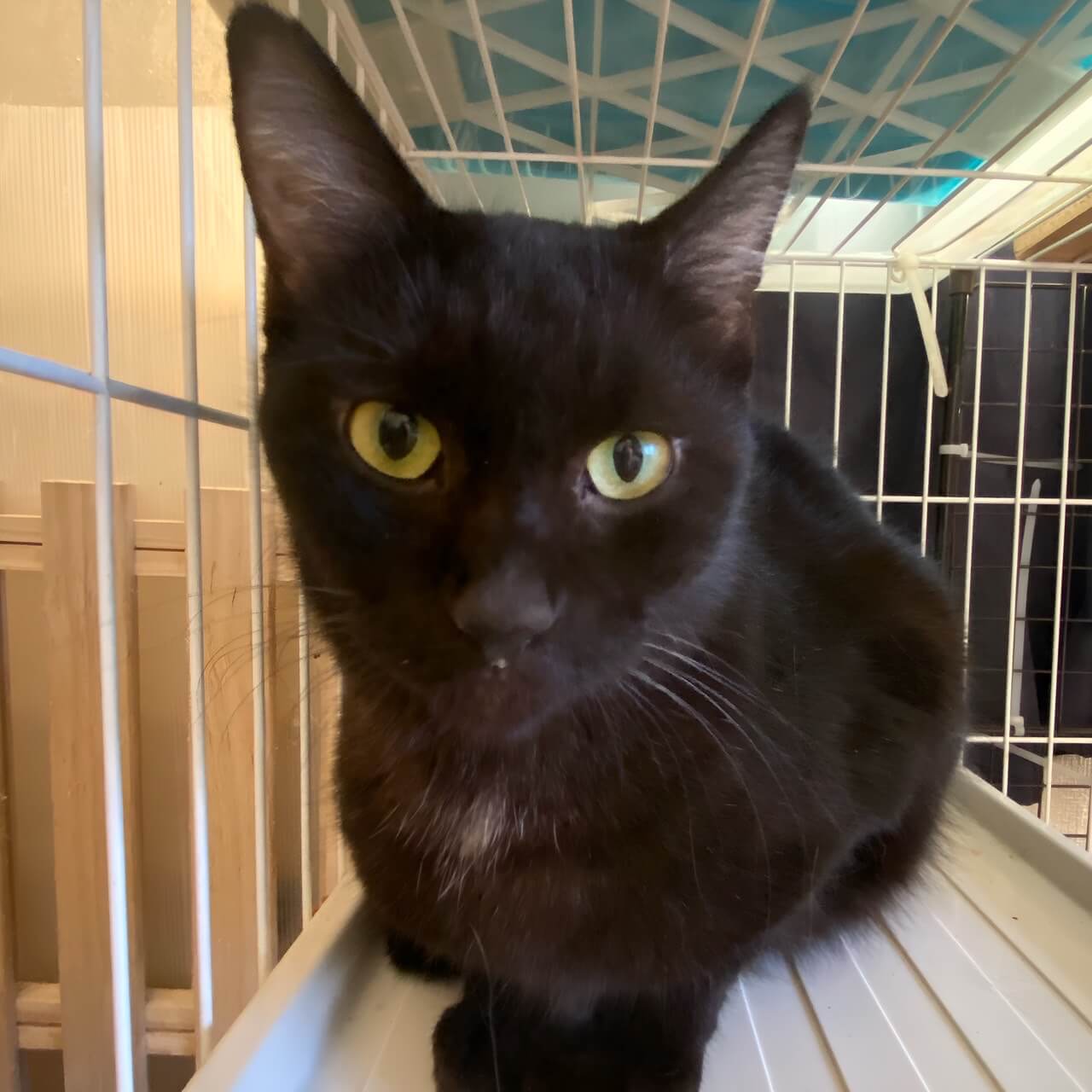 穏やかで人馴れ抜群♡ランちゃん