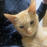 おとぼけ顔で甘ったれなノッポくん